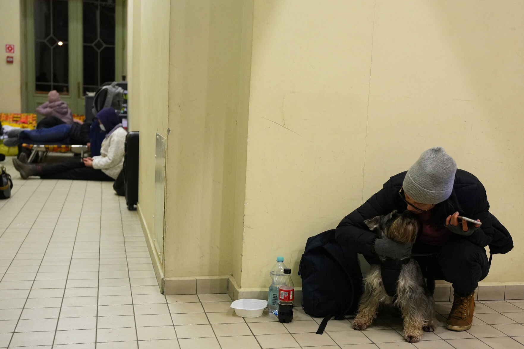 Russia Ukraine War Pets Photo Gallery